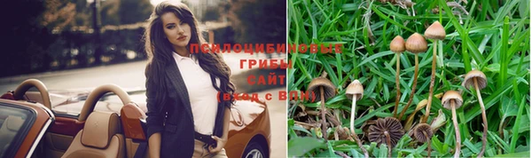 таблы Вяземский