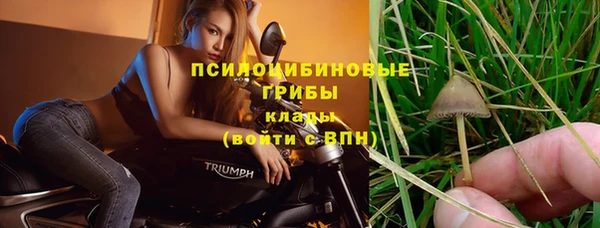 таблы Вяземский